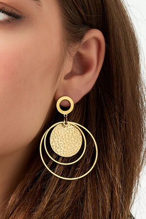 Earrings different rings - gold h5 Picture3